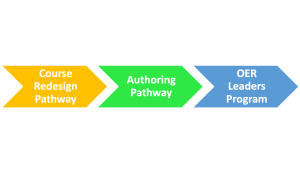 Image representing the typical pathways for developing OER materials/resources