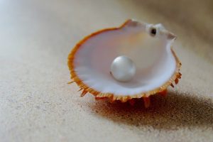 Image of a beach shell pearl