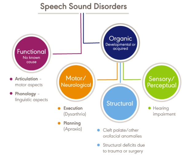 n image of Speech Sound Disorders, with Functional, Organic, Motor, Structural, and Sensory/Perceptual categories