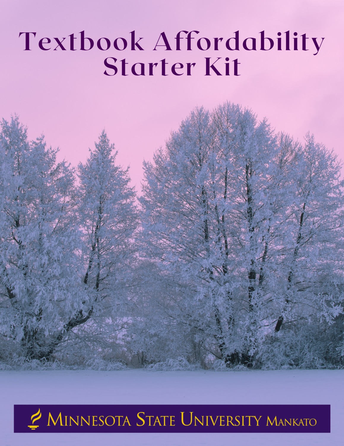 Cover image for Textbook Affordability Starter Kit