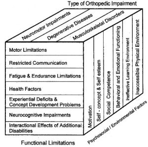 A model depicting the impact of orthopedic impairments on education performance.