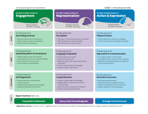 The Universal Design for Learning Guidelines