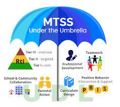 Multi-tiered System of Supports (MTSS)