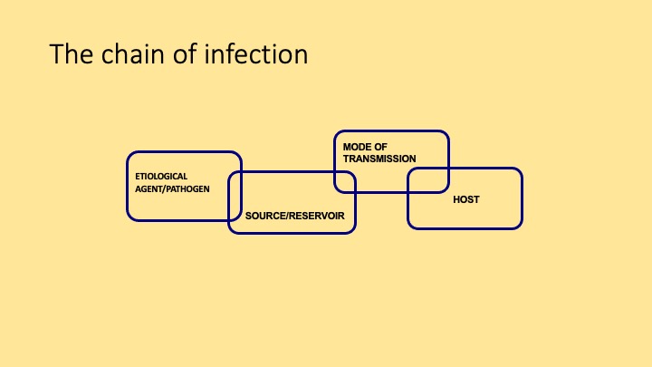 What is Epidemiology? – Principles of Epidemiology