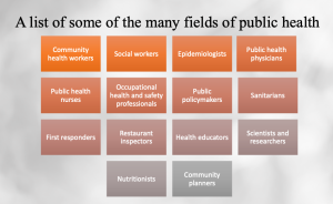 Image of Public Health Related Fields