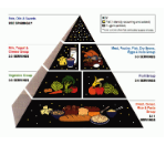 original food pyramid