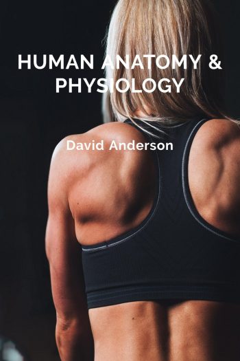 Cover image for Human Anatomy & Physiology