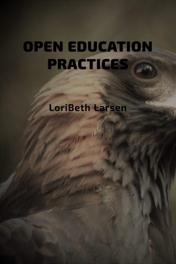 Cover image for Open Education Practices