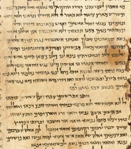 Portion of a photographic reproduction of the Great Isaiah Scroll, the best preserved of the biblical scrolls found at Qumran. It contains the entire Book of Isaiah in Hebrew, apart from some small damaged parts. This manuscript was probably written by a scribe of the Jewish sect of the Essenes around the second century BC. It is therefore over a 1000 years older than the oldest Masoretic manuscripts.