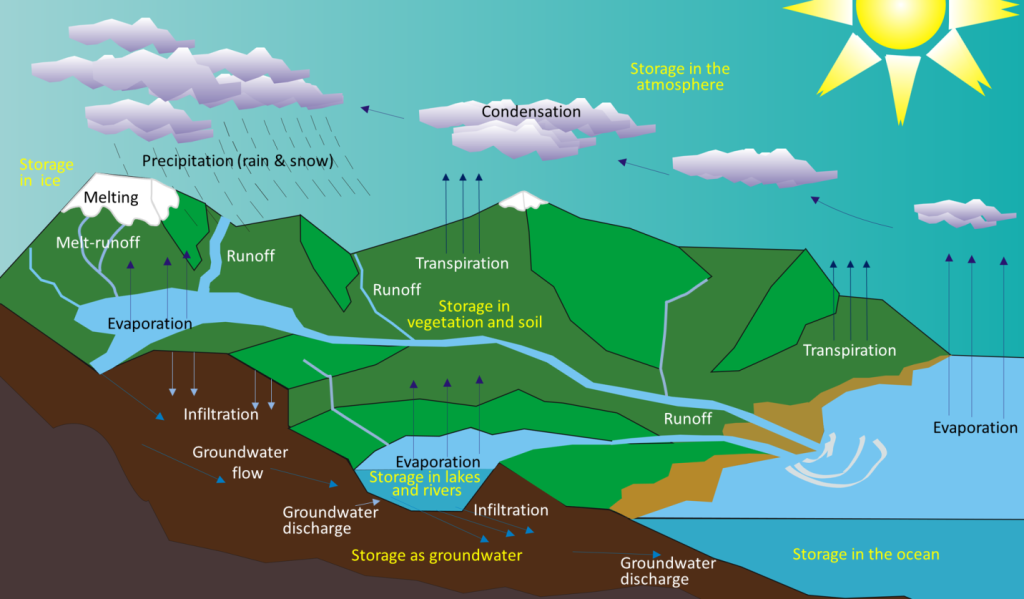 Illustration of the stores and flows in the water cycle. Ocean water evaporates to become atmosphere water which condenses to become precipitation (rain and snow) which falls on the ground and becomes surface water (streams and lakes) or glacial ice. Surface water either runs off into oceans, is evaporated into the atmosphere or infiltrates into soil or groundwater. Ice can melt and runoff into surface water or infiltrate into soil or groundwater. Groundwater flows and discharges into surface water or oceans. Vegetation and soil store water that has been taken up (plant uptake) from groundwater or surface water water in the soil. Plants transpire to return water to the atmosphere.