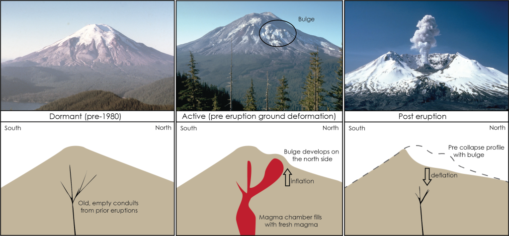 Photos and illustrations as described in the figure caption