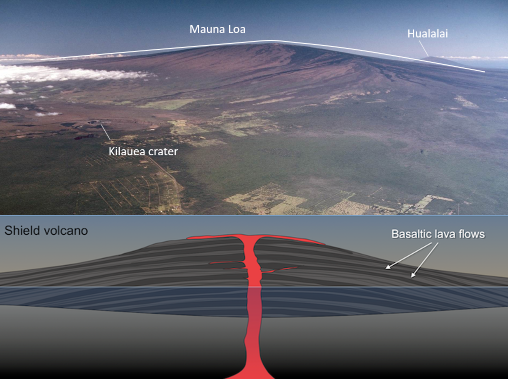 Photograph and diagram as described in the figure caption.