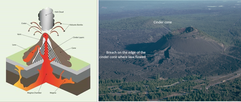 Diagram and photograph as described in the figure caption