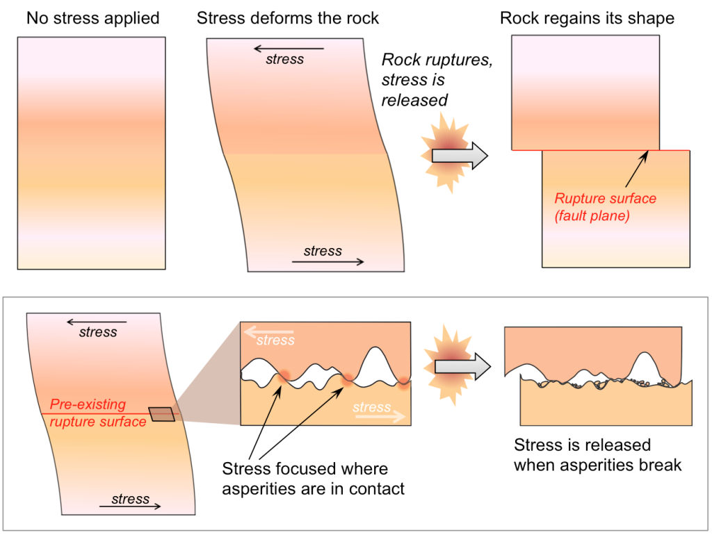 2 Diagrams showing how rocks break and rebound during elastic deformation. Top: rectangular block representing rock. A stress is applied and rock deforms with top half pushing to the left relative to bottom half (like a parallelogram). A rupture surface (fault plane) is created - this is a crack through the rock and shown by a horizontal line - and now the rock is in two rectangular pieces with the top piece offset to the left of the bottom piece.Bottom diagram: similar to the top diagram, a rectangular rock block that has been deformed so the top is pushed to the left of the bottom. This block has an existing/old rupture surface that is indicated by a horizontal line through the middle of the block. Zooming in on this surface shows it is not flat, but instead a wavy up and down surface. As stress is applied the wavy portions (labeled asperities) get "stuck" on each not letting the two rock halves slide. Once stress is large enough, the asperities break allowing the two halves to slide. They move into new positions and are no longer deformed.