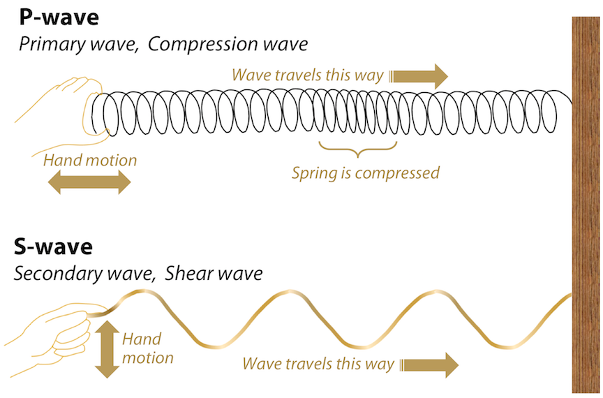 Diagrams demonstrating P-wave motion using a coiled spring or slinky and S-wave motion using a rope attached to a wall. Motion is as described in the text.