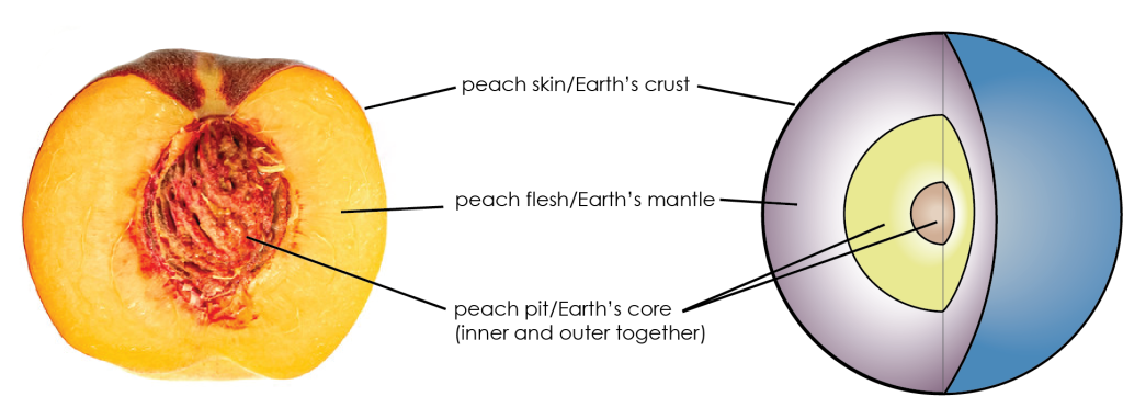 Diagram comparing a peach to the compositional layers of the Earth. The relative sizes of the pit, flesh and skin of the peach are comparable to those of the core (inner and outer together), mantle, and crust, respectively.