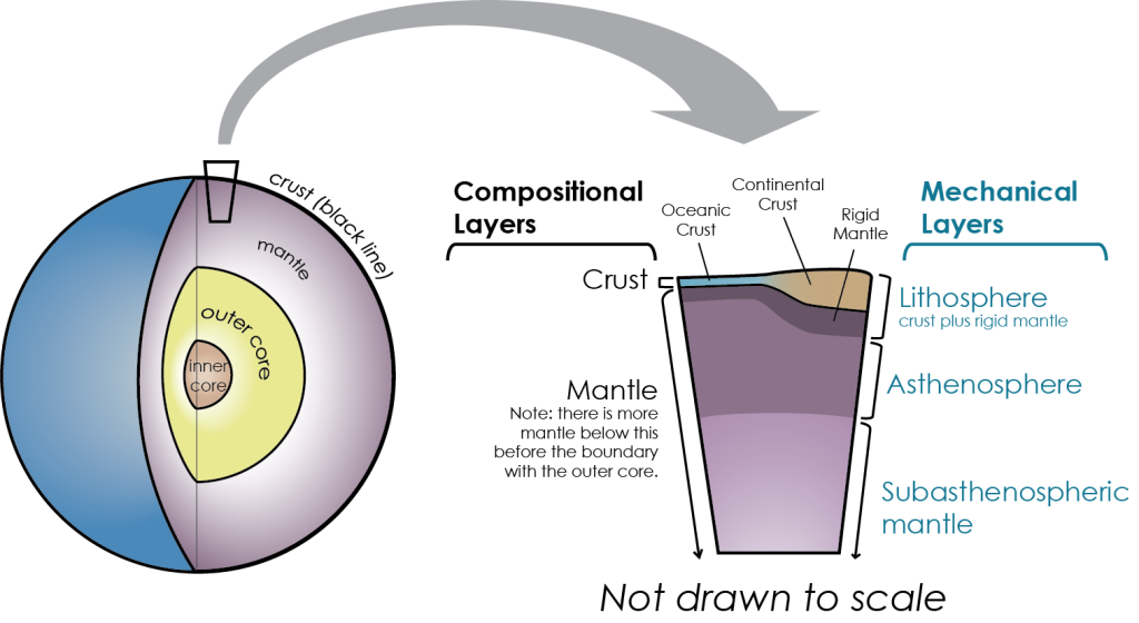 Diagram showing the relationship between the compositional and mechanical layers of the Earth. On the left is a whole earth showing a thin crust, mantle, outer core and inner core with a cutaway enlarged on the right of the crust and top portion of the mantle. This cutaway has compositional layers labeled on the left side. From surface downward are crust (oceanic or continental) shown as a thin blue (for oceanic) or slightly thicker brown (for continental) layer. Underneath this is 3 layers of purple: dark purple on top, then medium purple, then light purple, all of which are mantle. The right hand side of this cutaway is labeled with the mechanical layers. The lithosphere is the crust (oceanic and continental) and the dark purple top layer of the mantle (labeled as rigid mantle) together. The asthenosphere is the medium purple layer below this. Subasthenospheric mantle is the light purple. This cutaway on the right hand side is not drawn to scale.