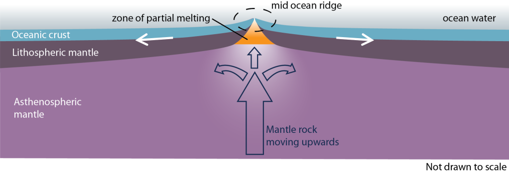 Diagram showing two oceanic lithospheric plates with arrows indicating they are moving away from each other. They are creating a high spot at the boundary where they separate labeled as the mid ocean ridge. Asthenospheric mantle is shown moving upward and creating a triangle of partial melt to fill in the space left by the separating lithospheric plates.