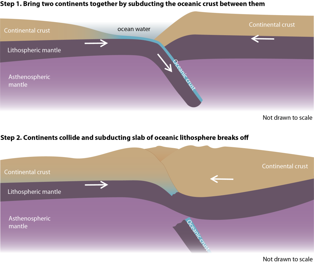 Two part diagram showing cross section (side view) of the progression from an ocean-continent subduction boundary to a continent-continent collision boundary. Part 1. Plate on left has oceanic plate in the middle changing to continental plate on the left. The oceanic portion of the plate is subducting down to the right underneath a different continental plate.Part 2. The oceanic portion of the left plate has been completely subducted bringing the continent on the left together with the continent on the right. Broken off and sinking deeper into the asthenosphere below this is the piece of oceanic plate that was subducting. The continental crust pushed together at the boundary is very thick with high mountains.