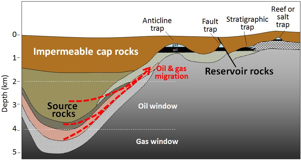 Cross sectional diagram with source rocks located below 2 km on the left hand side of the diagram. The depth between 2 km and 4 km is labeled as the oil window and deeper than 4 km is the gas window. Red arrows show the migration of oil and gas from the source rocks into the reservoir rocks which is a mostly horizontal layer around 1 km depth and below the horizontal layer of impermeable cap rocks. An anticline trap (an upward, rainbow shaped fold where oil and gas pool at the top of the curve), fault trap (rock layers are offset such that oil and gas pool in a reservoir rock that has shifted to be placed both directly beside and underneath the cap rock, such that it is trapped from the top and the sides by impermeable cap rocks), stratigraphic trap where rock layers change sideways within the reservoir layers such that a reservoir rock becomes an impermeable set of rocks on the side and is still below the cap rock, thereby trapping oil and gas), and finally a reef or salt trap which functions similarly to a stratigraphic and anticline trap combined with rock layers changing type laterally but also bowed up into a fold).