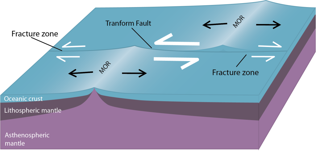 Block shaped diagram with a long line representing the fracture zone/transform fault running from left to right across the middle of the top surface of the diagram (dividing this surface into a front and back half). A mid ocean ridge is on the left in the front half oriented from front to back such that the plates are spreading to the left and right. A second mid ocean ridge is on the right in the back half oriented the same way such that the plates are spread to the left and right. This creates an offset between the two segments of MOR. In the offset area between them, the plates on either side of the middle dividing line are moving in opposite directions (moving right on the front half and left in the back half). This offset area is labeled as the transform fault. To the left of the front MOR the plates are both moving to the left, and to the right of the back MOR the plates are both moving to the right. These two areas are labeled as the fracture zones.