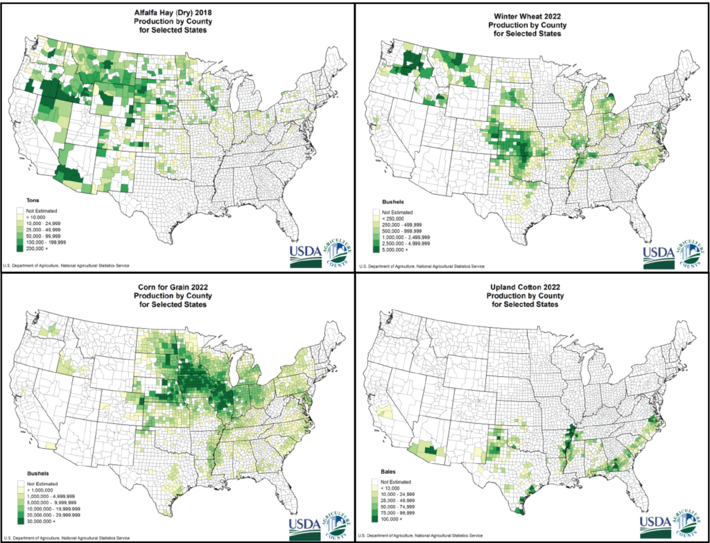 Top left: Alfalfa production is mainly in the interior western U.S.Top right: Wheat production is in the interior northwest (Washington through Montana), in the central U.S. (South Dakota down to northern Texas) and in areas along the Mississippi River. Bottom left: Corn production is mostly through the midwest (North Dakota, South Dakota, Nebraska, Kansas, Minnesota, Iowa, Missouri, Wisconsin, Illinois) but has lesser production farther east as well. Bottom right: Cotton production is domanantly in the southeastern U.S. (Louisiana and east, then north to Virginia). There is also some cotton production in western Texas and southern Arizona.