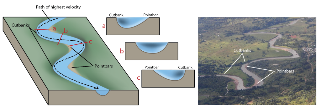 Velocity changes across the width of a stream create areas of erosion (cutbanks) and deposition (pointbars) on the meanders. Left: Illustration of a meandering river with high velocity flow path (black dashed arrow), cutbank, and pointbar locations indicated. High velocity flow swings back and forth across the river always closest to the outside edges of the meanders. Cutbanks are located on outside edge of meanders and pointbars are on inside edges of meanders. Three cross sectional areas, (a, b, and c) are indicated, with "a" across a curve to the left, "b" across a straight section of stream, and "c" across a curve to the right. Middle: Three cross sections corresponding to a, b, and c locations showing how the shape of the stream channel and location of high velocity flow change at each location. High velocity is shown in darker blue and low velocity is lighter blue.  a) stream is curving to the left and in cross section the stream channel is asymmetrical with deepest area on the left where the cutbank is and shallowest area to the right where the pointbar is. Highest velocity flow is on the left in the deeper area with lowest velocity flow along the bottom of the stream channel and to the right where the pointbar forms. b) Stream channel is symmetrical and U-shaped. High velocity is in the middle of the channel just below the surface and lowest velocities are on the stream bed. c) stream is curving to the right and in cross section the stream channel is asymmetrical with deepest area on the right where the cutbank is and shallowest area to the left where the pointbar is. Highest velocity flow is on the right in the deeper area with lowest velocity flow along the bottom of the stream channel and to the left where the pointbar forms (this is the opposite of what is seen in cross section a). Right: Photograph of a meandering stream with cutbanks and pointbars indicated on the outside and inside edges of meanders, respectively.