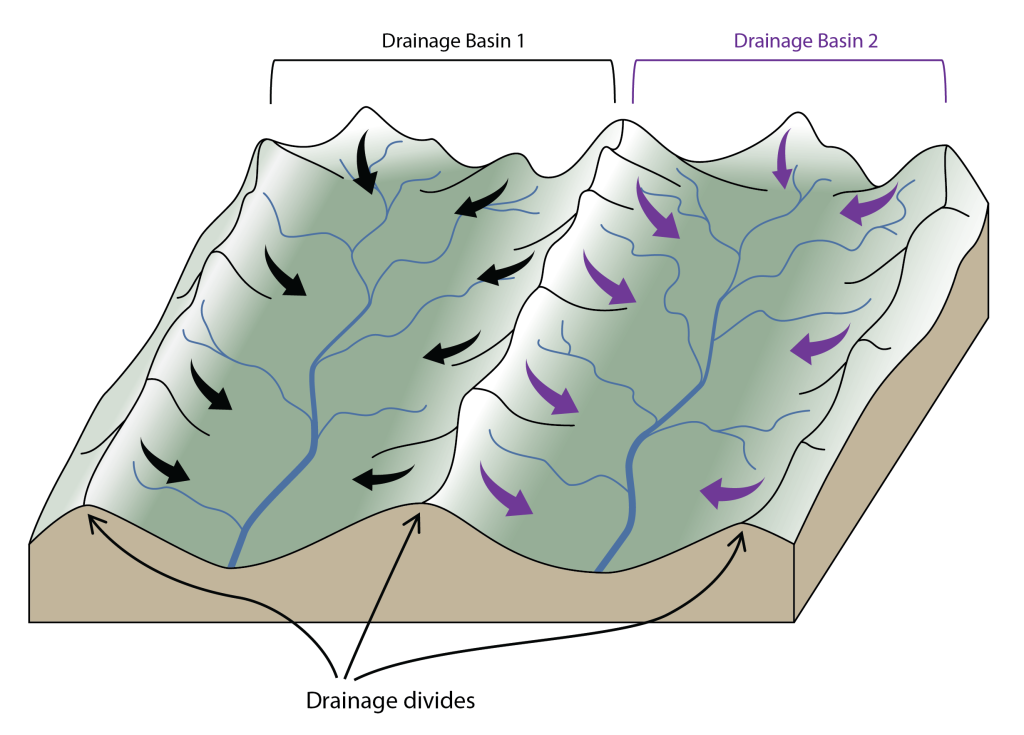 Illustration of two drainage basins (valley areas) with ridges between them and on their outside edges (drainage divides). All rain and surface water within drainage basin 1 will flow into the basin 1 river, and all rain and surface water within drainage basin 2 will flow into the basin 2 river.