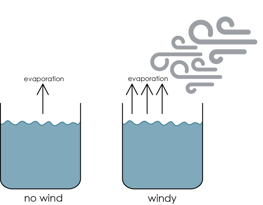 Two open containers of water. Left container is in a non-windy area and has 1 arrow representing evaporation. Right container is in a windy area and has three arrows representing evaporation.