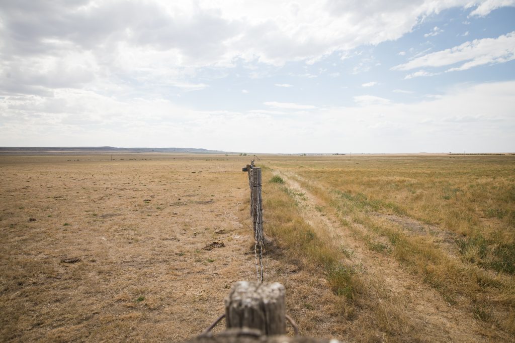 Photograph showing a health grassland and an overgrazed field as described in the figure caption.