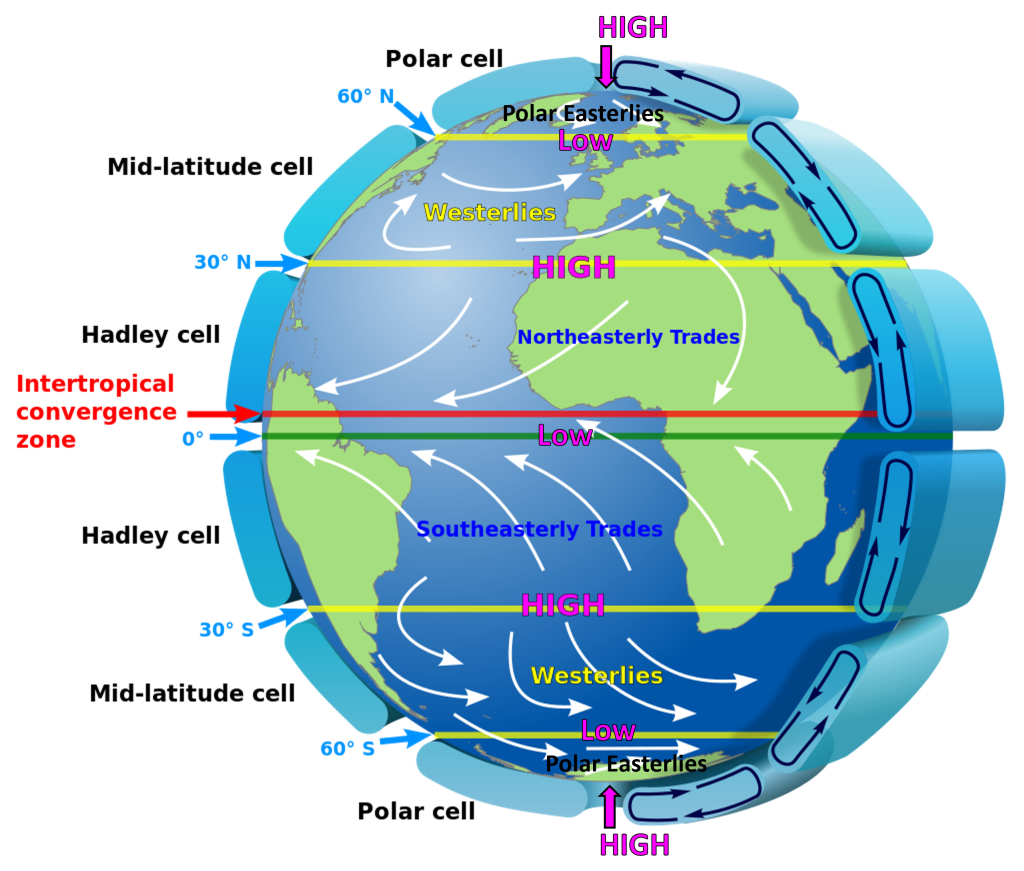 Diagram illustrating atmospheric circulation as described in the paragraph text preceding this figure.