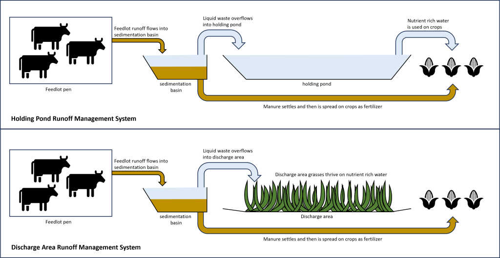 Top diagram: illustration of a holding pond system. Runoff from the feedlot flows into a sedimentation basin. The manure/solids settle to the bottom and the liquid water flows over the top into a holding pond. The settled manure/solids are spread on crops as fertilizer and the water from the holding pond is is nutrient rich and used to water crops. bottom diagram: illustration of a discharge area system. Runoff from the feedlot flows into a sedimentation basin. The manure/solids settle to the bottom and the liquid water flows over the top into a discharge area filled with grasses that thrive on the nutrient rich water. The settled manure/solids are spread on crops as fertilizer.