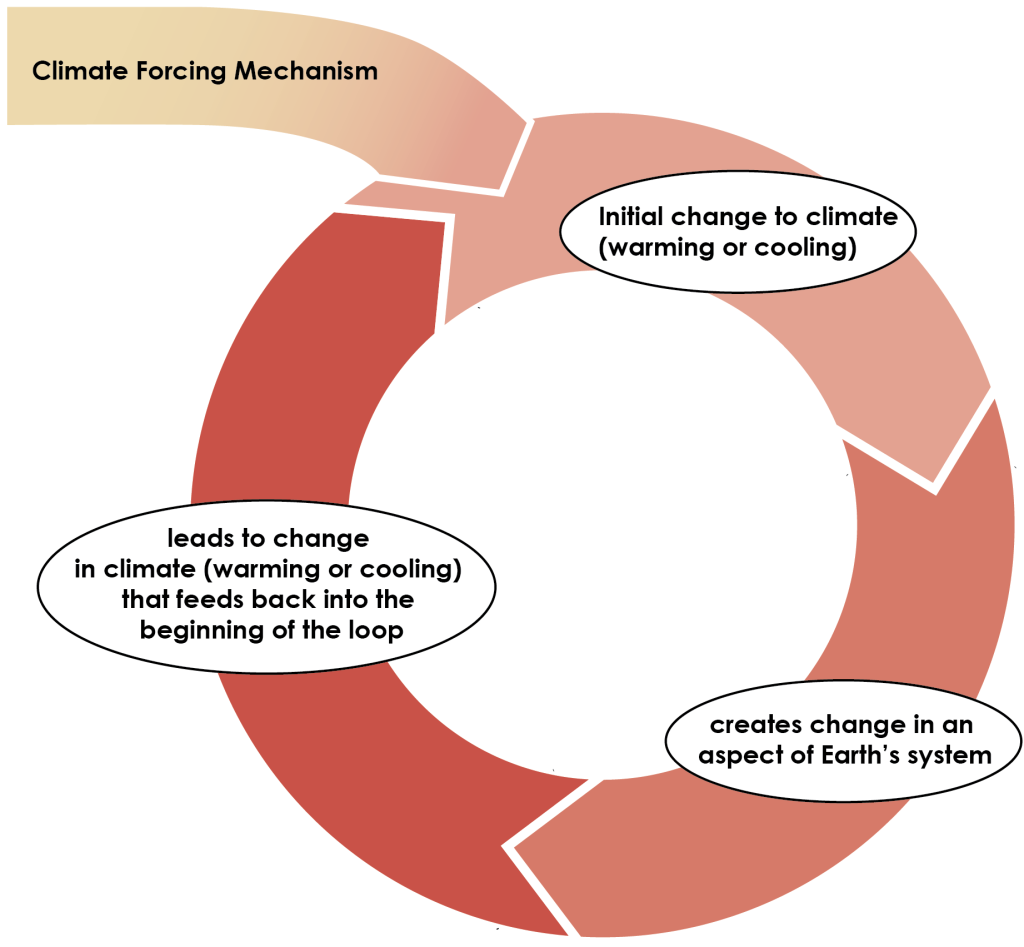 Large arrow points into a set of 3 arrows that create a circle of arrows each leading into the next. The Large initial arrow going into the circle is yellow and labeled "climate forcing mechanism". The first arrow of the circle it points to is light red and labeled" initial change to climate (warming or cooling)" this points into a second arrow in the circle of darker red labeled "creates change in an aspect of Earth's system" which leads into the third arrow of the circle in darkest red labeled "leads to change in climate (warming or cooling) that feeds back into the beginning of the loop". This last arrow points back into the initial lightest red arrow.