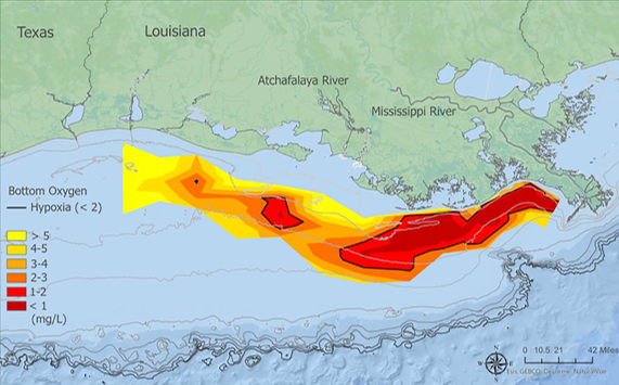 Map of the Gulf of Mexico dead zone color coded to indicate amount of dissolved oxygen in the water. Darkest red being the least amount of oxygen at less than 1 mg/L. Values below 2 mg/L of oxygen are considered hypoxic. The hypoxic zone is an oval shaped zone the parallels the coastline, and lies very close to the coastline, just west of where the Mississippi River enters the Gulf of Mexico