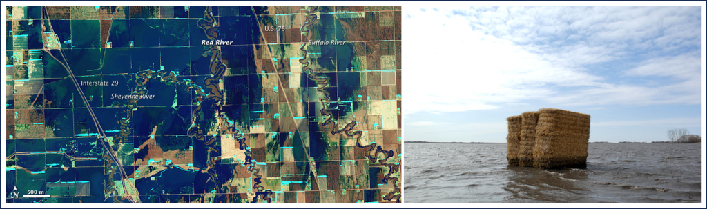 Left satellite image shows flood water extending across most of the area around the Red River. Right: Water is at least a foot deep across the entire area, showing hay bales stacked up on a farmer's field.