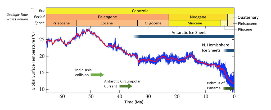 Graph showing global surface temperatures from 66 Ma to present day. Temperatures were about 25 degrees Celsius (C) through the Paleocene from 66 to 56 Ma, rising to a high around 28-29 C in the Early Eocene through 50 Ma. Then temperatures steadily dropped from 50 Ma through 35 Ma where they stayed at a steady temperature of around 20 C until dropping again starting around 15 Ma through to present day where temperatures are about 12 C. Blue bars showing ice sheet growth show Antarctic ice sheet beginning around 34 Ma and continuing to present day and the Northern Hemisphere ice sheets beginning around 3 Ma and continuing to the present day. Green arrows for plate tectonic events have India collision with Asia beginning 50 Ma, Antarctic Circumpolar Current beginning 40 Ma, and the Isthmus of Panama beginning 3-5 Ma.