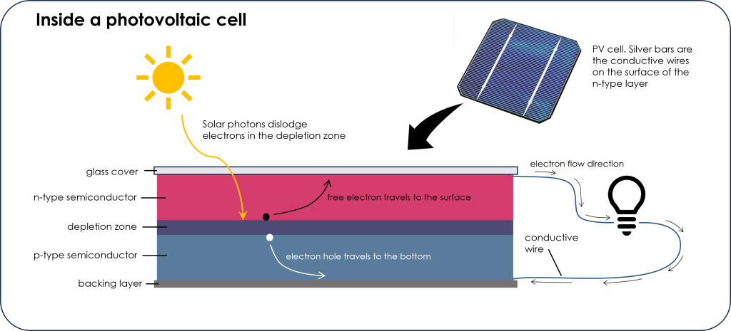 side view image showing layers in a PV cell. From top to bottom: thin glass cover, thick n-type semiconductor layer, thin depletion zone, thick p-type semiconductor layer, thin backing layer. Yellow wavy arrow indicates incoming solar photons that dislodge electrons from the depletion zone layer. Free electrons travel to the surface of n-type layer (arrow up), while the electron hole travels to the bottom of p-type layer (arrow down). Conductive wire connects the surface of the n-type layer to the bottom of the p-type layer. Electrons flow from n-type layer to p-type through the conductive wire powering a lightbulb