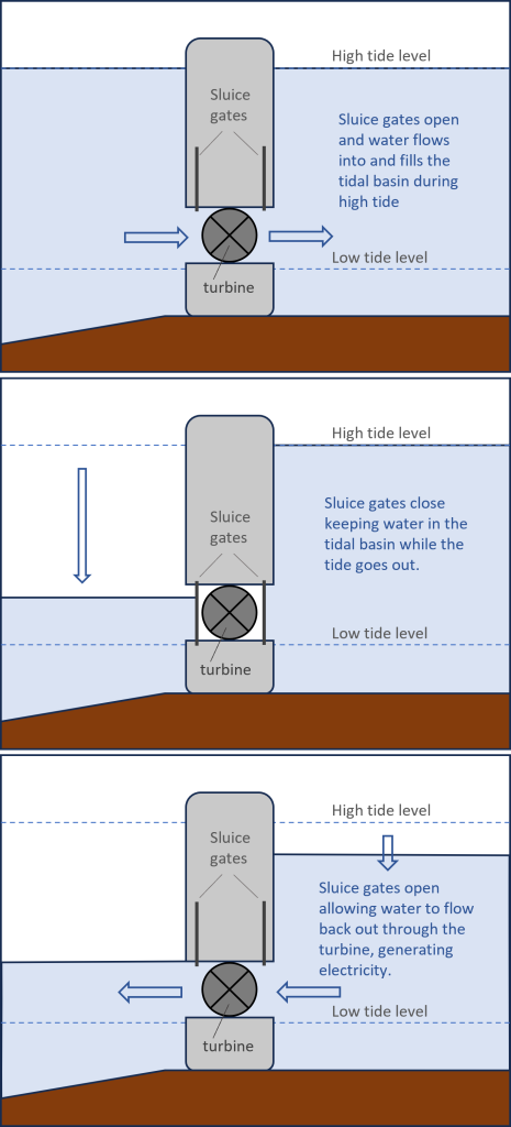 Series of 3 illustrations showing how a tidal barrage works. Top: sluice gates (gates that allow water to pass through a dam) in the tidal barrage (dam) open during incoming tide to allow water to fill the tidal basin. Water is up to high tide levels in the tidal basin and in the ocean. Middle: sluice gates close following high tide, keeping water levels in the tidal basin high while the tide goes out. Water is at high tide level in the tidal basin but is dropping on the ocean side of the barrage. Bottom: At low tide, the sluice gates open allowing water to flow through the turbine in the dam, generating electricity. Water level is low on the ocean side and is dropping on the tidal basin side.