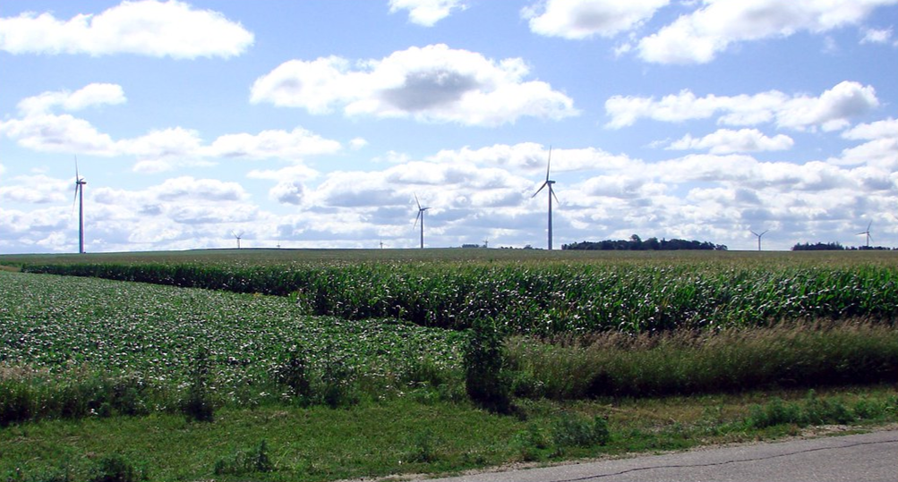 landscape photograph of a wind farm in Minnesota. 6 wind turbines are spread out over a large agricultural area with corn and soybean crops planted densely through the area.