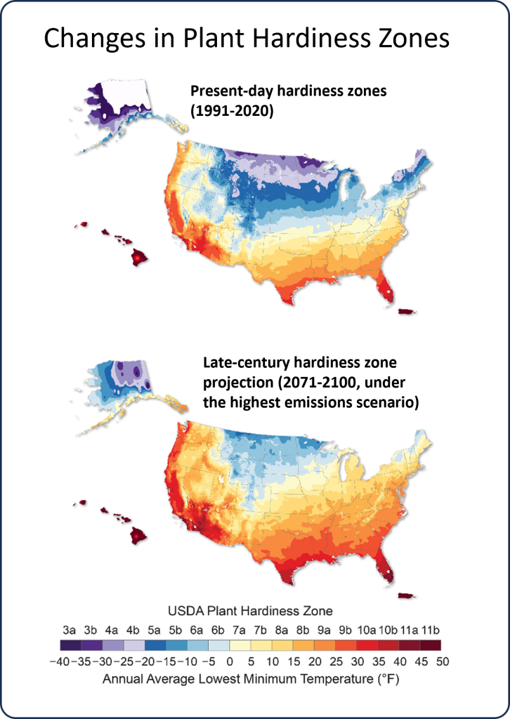 2 maps showing present day and projected plant hardiness zones across the U.S.Present day: hardiness ranges from zone 3a (coldest and present in Alaska and the northernmost parts of the states from Montana through Minnesota) to 11b (warmest zone present only in parts of Hawaii and Puerto Rico). Projection in 2100: hardiness ranges from very small isolated zones of 3a in northern Alaska only, northern Montana through Minnesota is now zone 5b, to an expanded area of 11b that covers more of Hawaii and the southern portion of Florida, a small part of southern Texas, and small portions of southern California and Arizona.