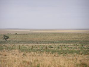 View of open plains in eastern Colorado. Nothing blocks the view, but there is no water in the picture.