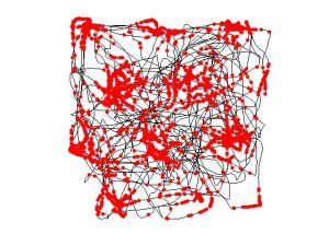 Graphic of a rat navigating a room with dots overlayed showing when a grid cell activates along the path.