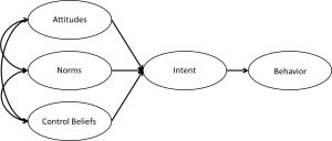 Diagram showing the Reasoned Action Approach. Attitudes, Norms, and Perceived Behavioral control connect to attitudes which connects to behavior